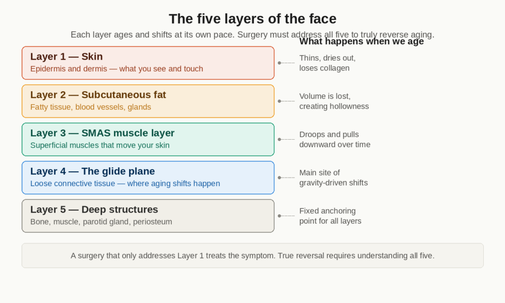 A diagram showing the five layers of the face and how each layer shifts and changes during the aging process, from skin at the top to deep bone structures at the bottom.